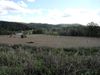 2170 Old Bluefield Rd photo
